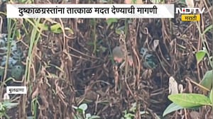 बुलढाण्यातील शेतकऱ्यांचं मोठं नुकसान, Eknath Shinde करणार शेतीच्या नुकसानीची पाहणी