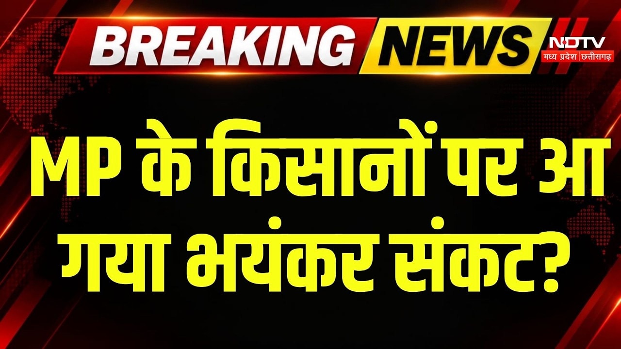 MP Weather Alert: धान की फसल पर मौसम की मार! कम बारिश ने बढ़ाई किसानों की चिंता | Monsoon | Drought