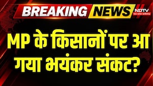 MP Weather Alert: धान की फसल पर मौसम की मार! कम बारिश ने बढ़ाई किसानों की चिंता | Monsoon | Drought