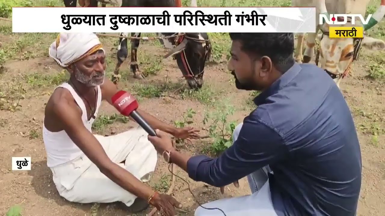 Dhule Drought| धुळ्यात दुष्काळाची परिस्थिती गंभीर, वरझडीतील शेतकऱ्याने कपाशीचं पीक केलं नष्ट