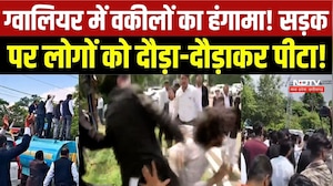 Bhopal Lawyers Protest: प्रदर्शन के नाम पर गुंडागर्दी? आम लोगों और मीडिया से मारपीट का आरोप |MP News