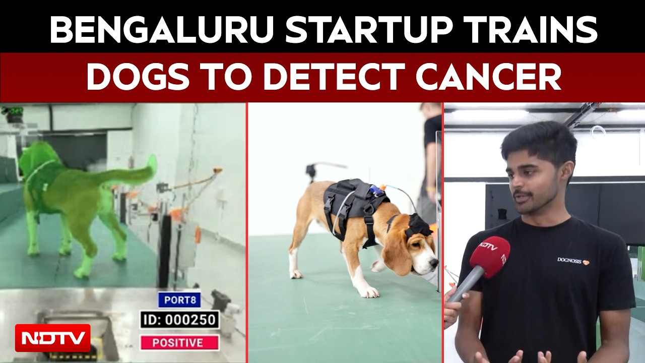 Bengaluru Startup Trains Dogs To Detect Cancer Using Breath, AI & Sensors