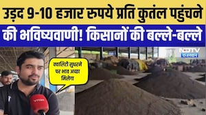 Jaipur:  उड़द 9-10 हजार रुपये प्रत&zwj;ि कुंतल पहुंचने की भव&zwj;िष्&zwj;यवाणी! ।Top News । Breaking News