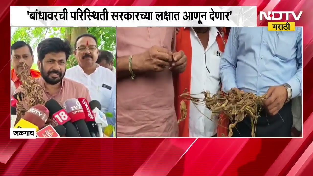 परिस्थिती सरकारच्या लक्षात आणून देणार, Bachchu Kadu यांनी केली पाचोऱ्यात दुष्काळी भागाची पाहणी