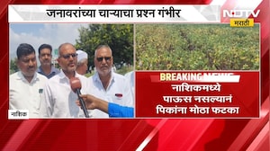 Nashik| पिकांचं नुकसान, बळीराजा संकटात; जनावरांच्या चाऱ्याचा प्रश्न गंभीर, शेतकऱ्यांशी संवाद