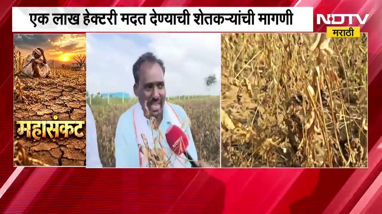 Washim | एक लाख हेक्टरी मदत देण्याची मागणी, याचसंदर्भात मोहगव्हाण परिसरातील शेतकऱ्यांशी संवाद
