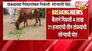 Jalgaon| नैवेद्यासोबत बैलाने गिळली तीन तोळ्यांची सोन्याची पोत, 10 दिवसांनंतर यशस्वी शस्त्रक्रिया