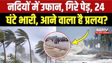 Heavy Rain In Chhattisgarh: Raipur-Jashpur समेत इन 16 जिलों में अलर्ट! Weather Alert | Cyclone Arnab