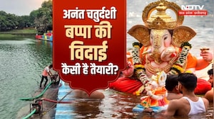 Ganesh Visarjan 2026: बप्पा की आज होगी विदाई, MP समेत देशभर में विसर्जन की भव्य तैयारियां | Viral