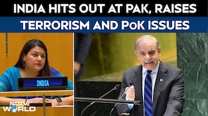 India Hits Back At Shehbaz Sharif's UN Speech: "Terror Will Have Consequences"