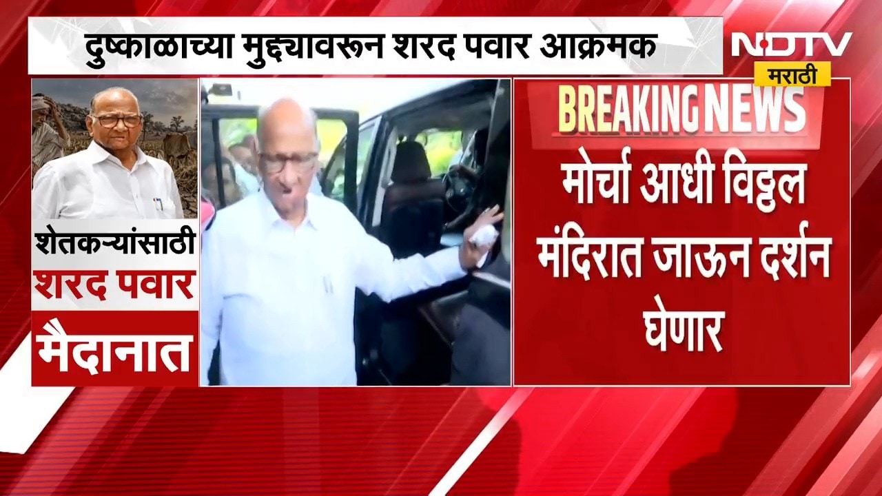 दुष्काळाच्या मुद्द्यावर Sharad Pawar आक्रमक, पंढरपुरात आक्रोश मोर्चा, शेतकऱ्यांसाठी पवार  मैदानात