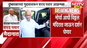 दुष्काळाच्या मुद्द्यावर Sharad Pawar आक्रमक, पंढरपुरात आक्रोश मोर्चा, शेतकऱ्यांसाठी पवार  मैदानात