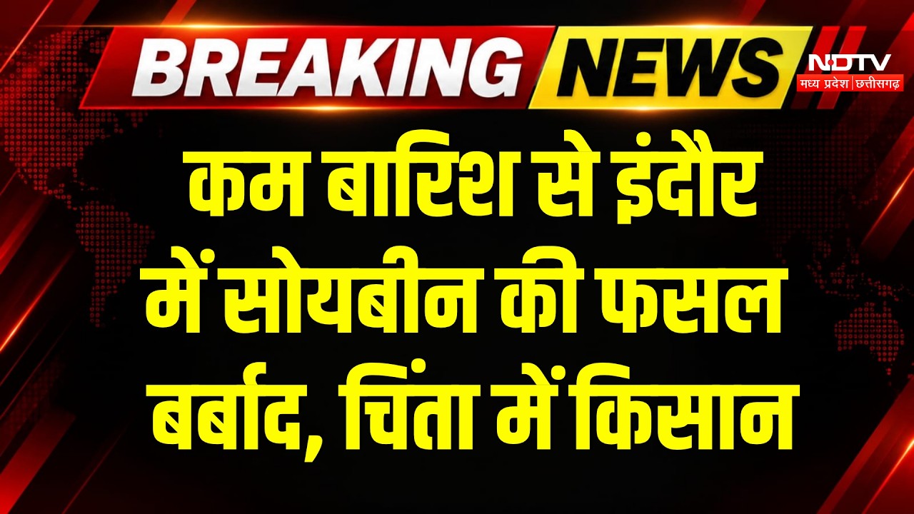 Indore Weather Alert: इंदौर में बारिश की कमी, Soybean पर संकट, चिंता में डूबे Farmers! Breaking