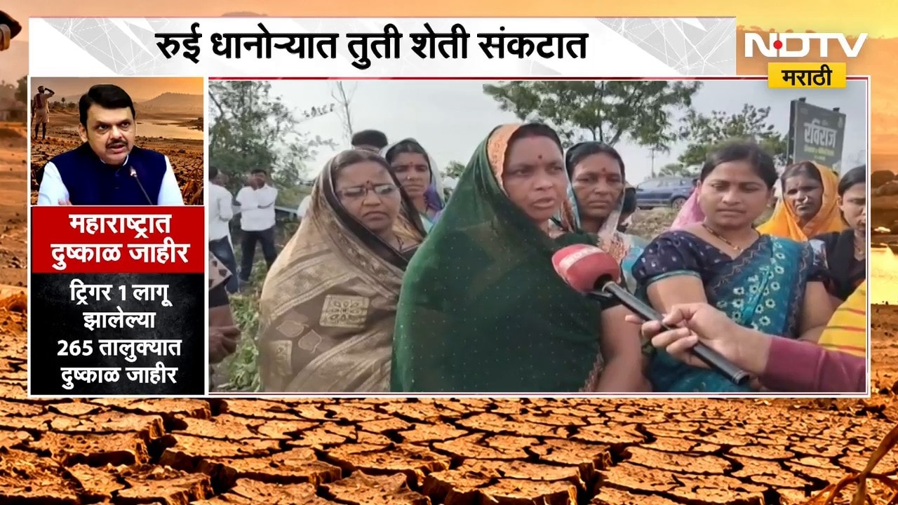 Beed| रुई धानोऱ्यात तुती शेती संकटात, लाडक्या बहिणींची Sunetra Pawar यांच्याकडे मदतीची हाक | NDTV