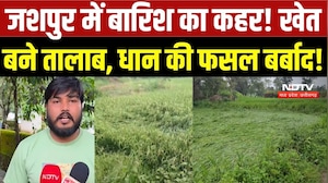 Jashpur  Heavy Rain: लगातार बारिश से किसानों पर संकट! धान की फसल पानी में डूबी, मुआवजे की मांग तेज |