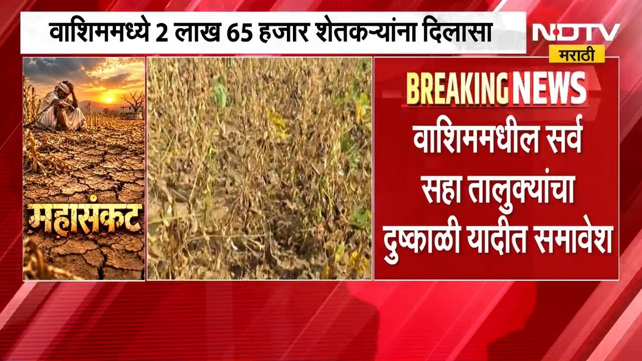 Washim Drought | वाशिम जिल्ह्यात पावसाची दडी, पाणीसाठ्यात घट; खरीप हंगाम संकटात | NDTV Mararhi