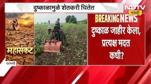 Maharashtra Drought | दुष्काळामुळे शेतकरी चिंतेत, मागच्या वर्षीच्या पीकविम्याचे पैसेही मिळेना