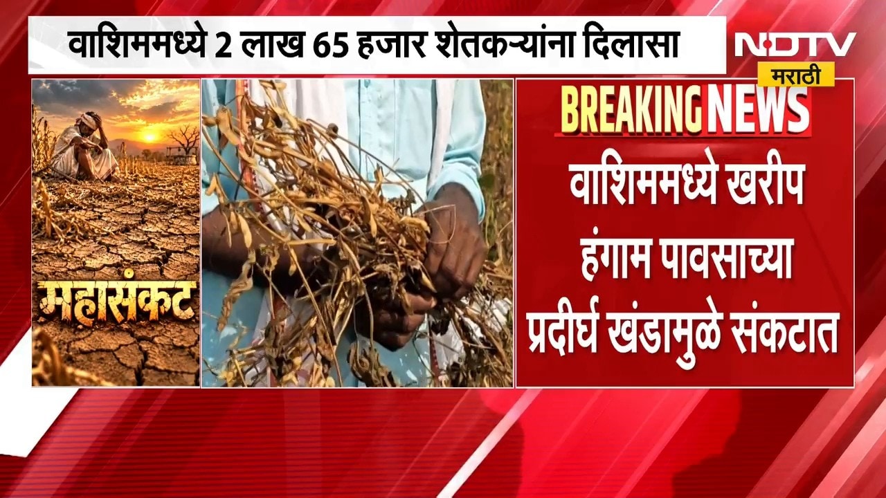 Washim No Rain | वाशिममध्ये खरीप हंगाम पावसाच्या प्रदीर्घ खंडामुळे संकटात | NDTV Marathi