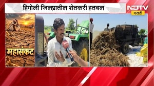 Hingoli | दुष्काळामुळे सोयाबीनच्या उत्पादनात घट, हिंगोलीतील शेतकऱ्यांची मागणी काय? | NDTV Marathi