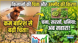 कम बारिश से बढ़ी किसानों की चिंता! चना, सरसों, धनिया की फसलें बनी सहारा |Top News |Rain |Farmer