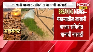 Bhandara | लाखनी बाजार समितीत धानाची नासाडी, साठवणुकीबाबत निष्काळजीपणा झाल्याचा आरोप | NDTV