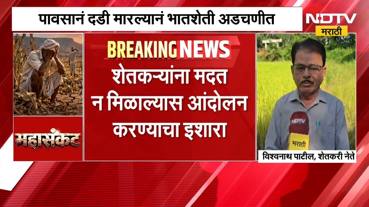 Palghar | दुष्काळग्रस्तांच्या यादीत पालघरचा समावेश करा, शेतकरी नेते विश्वनाथ पाटील यांची मागणी