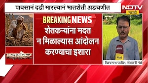 Palghar | दुष्काळग्रस्तांच्या यादीत पालघरचा समावेश करा, शेतकरी नेते विश्वनाथ पाटील यांची मागणी