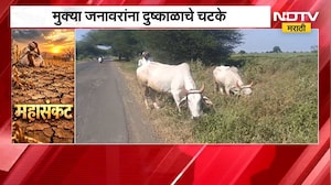 Latur Water Scarcity | भर पावसाळ्यात ग्रामीण भागात पाणीटंचाई, पाण्यासाठी महिलांच्या तासनतास रांगा