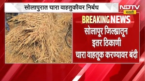 Solapur Drought | सोलापुरात चारा वाहतुकीवर निर्बंध, जिल्हाधिकाऱ्यांचे आदेश | NDTV Marathi