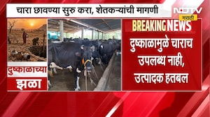 Ahilyanagar Drought| 14 तालुक्यात दुष्काळ; चारा छावण्या सुरु करा, दूध उत्पादक शेतकऱ्यांची मागणी