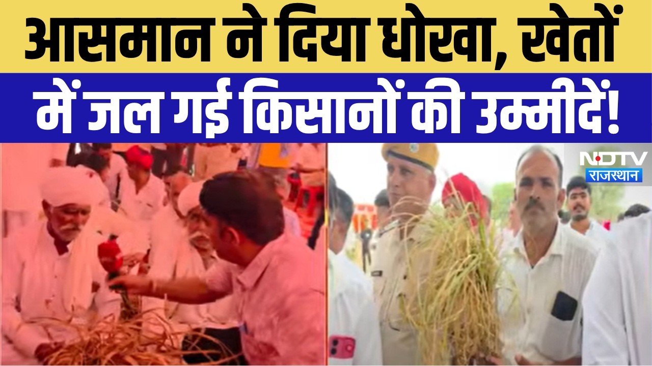 Balotra Weather News: बारिश नहीं आई, खेतों में सूख गई किसानों की मेहनत! Balotra Drought Crisis