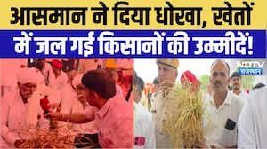 Balotra Weather News: बारिश नहीं आई, खेतों में सूख गई किसानों की मेहनत! Balotra Drought Crisis