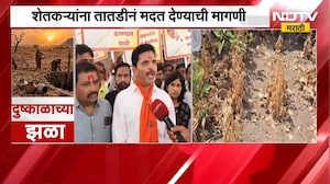Latur Drought| रेणापूरमध्ये दुष्काळी मदतीसाठी MNS चे आंदोलन, शेतकऱ्यांना तातडीनं मदत देण्याची मागणी