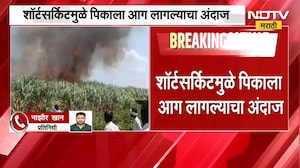 Parbhani| कात्नेश्वरमध्ये साडेतीन एकर ऊस जळाला, शॉर्टसर्किटमुळे पिकाला आग लागल्याचा अंदाज
