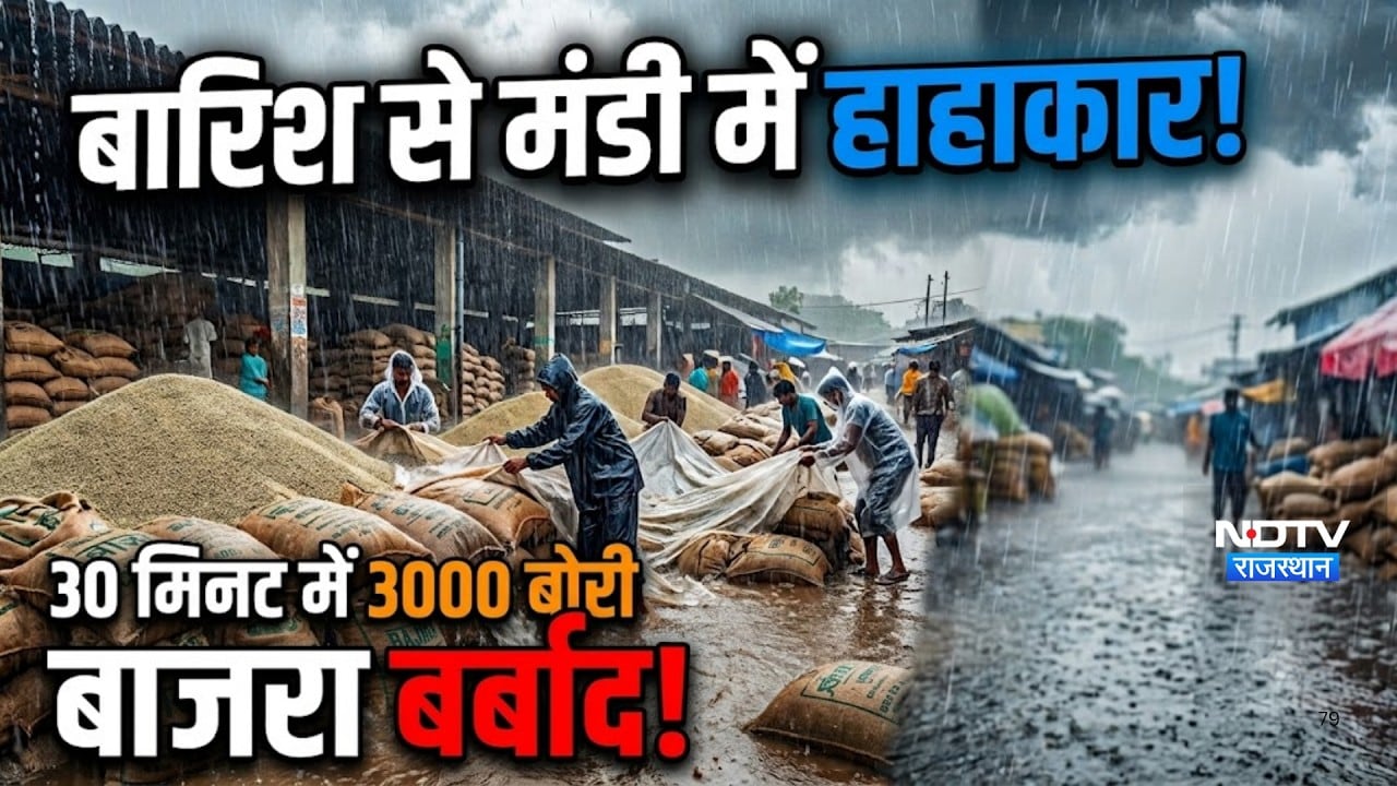 Weather Alert: Rain से Mandi में मचा हाहाकार! , 3000 बोरी Millet बर्बाद! |Rajasthan Weather |Rain