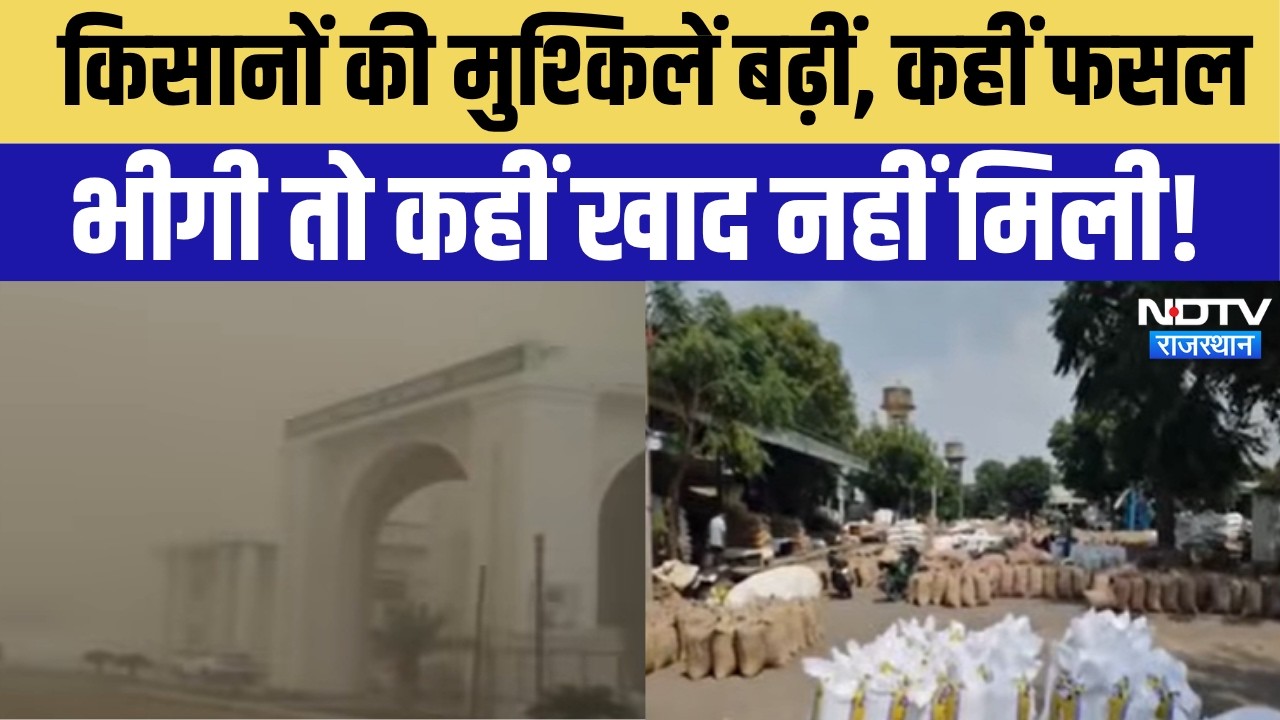 Rajasthan Weather Update: किसानों की मुश्किलें बढ़ीं, कहीं फसल भीगी तो कहीं खाद नहीं मिली!