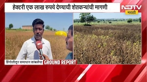 Hingoli| दुष्काळामुळे सगळं पीक करपलं, कर्जमाफी जाहीर, अद्याप मदत नाही; याचसंदर्भात शेतकऱ्यांशी संवाद