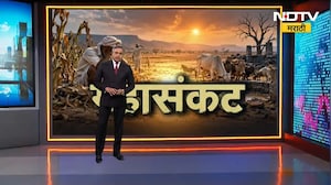 Special Report| दुष्काळाचं महासंकट, संत्र्यांच्या बागांची अवस्था बिकट; बागा कशा जगवायच्या ? Nagpur