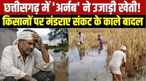Chhattisgarh Flood: Raigarh में महानदी उफान पर, कई गांवों में बाढ़ जैसे हालात । Breaking News
