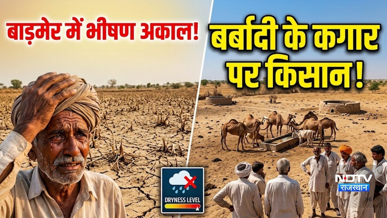 Barmer में Barish की कमी, बर्बादी के कगार पर किसान! |Drought news|farmer crisis