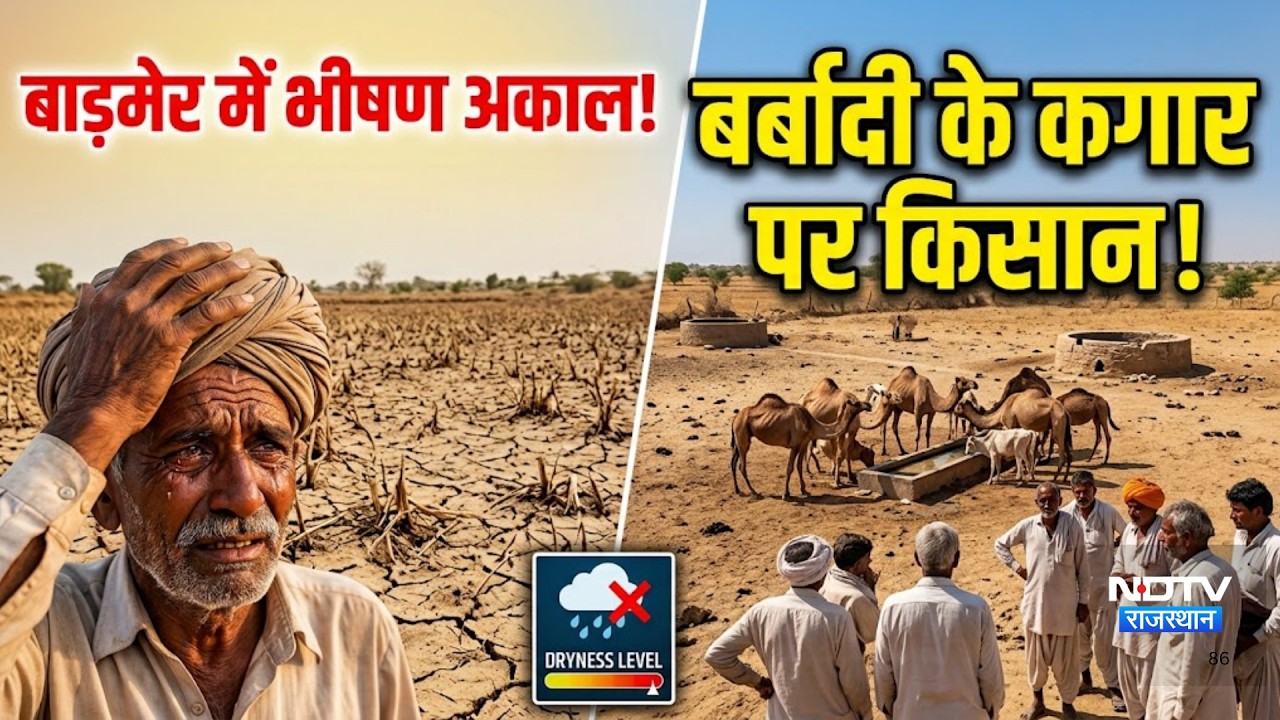 Barmer में Barish की कमी, बर्बादी के कगार पर किसान! |Drought news|farmer crisis