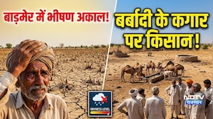 Barmer में Barish की कमी, बर्बादी के कगार पर किसान! |Drought news|farmer crisis