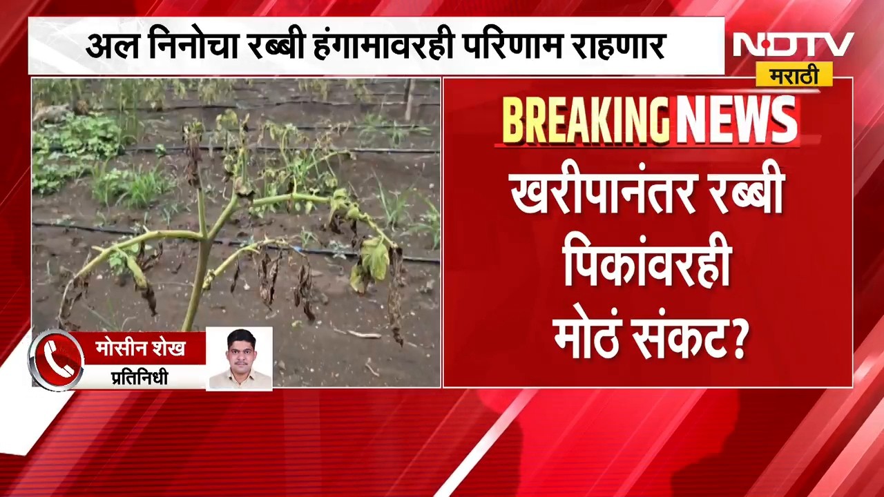 Maharashtra Drought | खरीपानंतर रब्बी पिकांवरही मोठं संकट? कोरडवाहू भागांसमोर मोठं आव्हान | NDTV