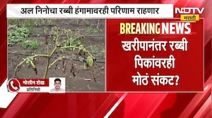 Maharashtra Drought | खरीपानंतर रब्बी पिकांवरही मोठं संकट? कोरडवाहू भागांसमोर मोठं आव्हान | NDTV