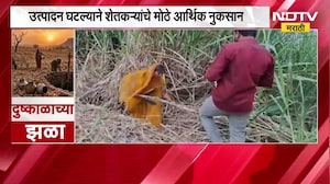 Beed Drought | दुष्काळामुळे गोड ऊस झाला कडू, बीडमधील शेतकरी संकटात | NDTV Marathi