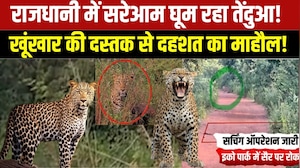 Leopard Alert:Bhopal के Katara Hills में तेंदुए की मूवमेंट, वन विभाग का सर्च ऑपरेशन । #shorts #viral