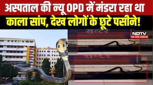 MP NEWS: Indore के MY Hospital की OPD में निकला सांप, गार्ड ने निकाला बाहर । Breaking News