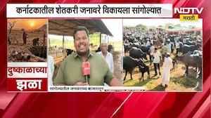 Maharashtra Drought | दुष्काळाचं भीषण वास्तव, कर्नाटकातून सांगोल्यात जनावरे विक्रीला आणण्याची वेळ