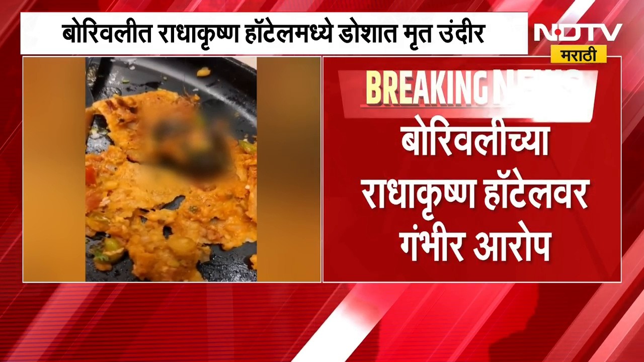 डोसा खात असाल तर ही बातमी नक्की पाहा, डोशात आढळला प्राणी; ग्राहकांचा आरोप | Unhygienic Dosa