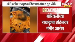 डोसा खात असाल तर ही बातमी नक्की पाहा, डोशात आढळला प्राणी; ग्राहकांचा आरोप | Unhygienic Dosa